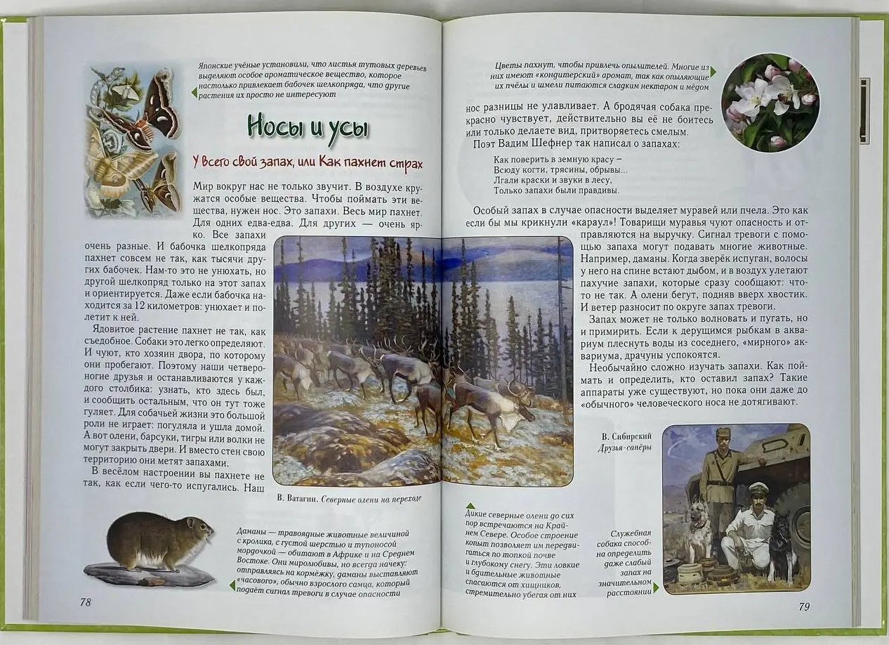 ТРИ запаха, которые могут быть сигналом онкологии: Что стоит знать каждому