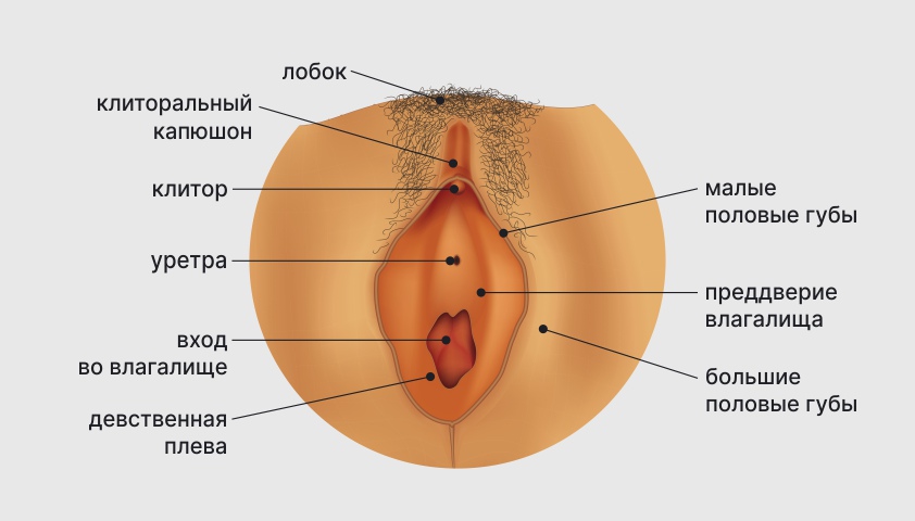 Уменьшение больших половых губ