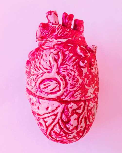 Кровоснабжение и нервное обеспечение