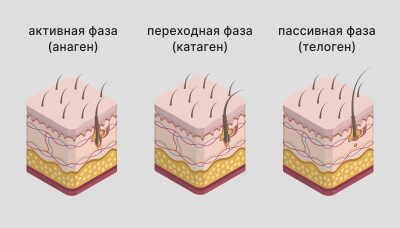 Женские половые органы - наружные и внутренние