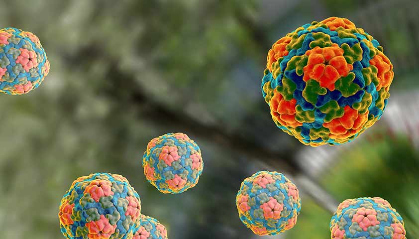 Что такое гепатит А? Как можно заразиться вирусным гепатитом А?