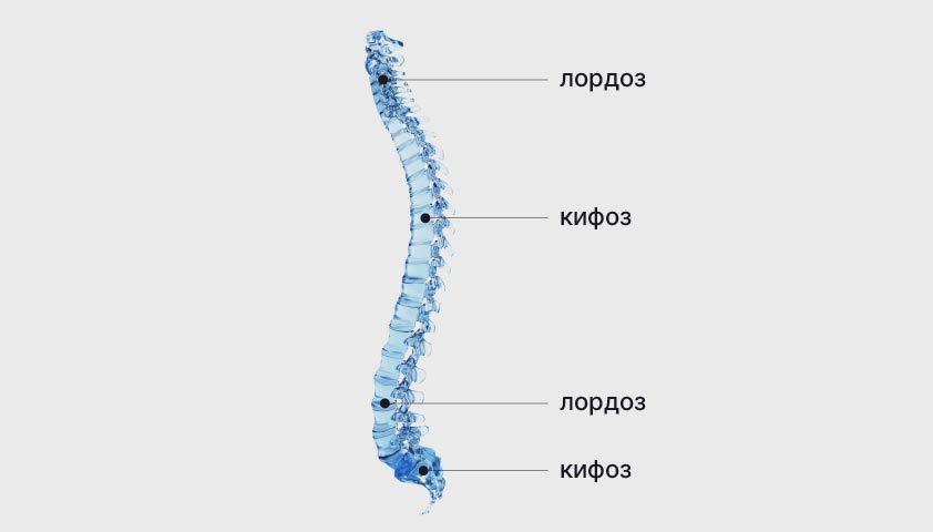 Сколиоз — что это, степени, причины, лечение