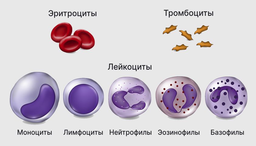 Остеопороз у женщин и мужчин - что это, симптомы и лечение