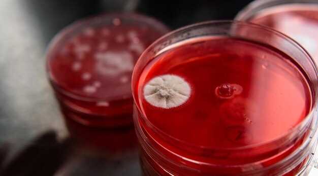 Рацион питания и медикаменты