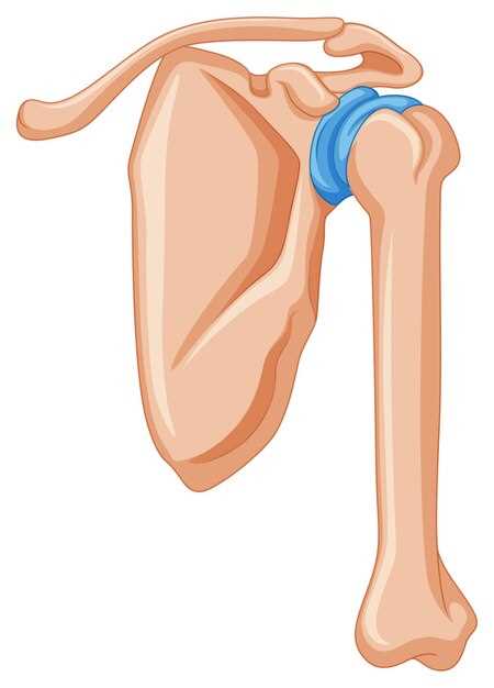 Что делать если проглотила куриную кость