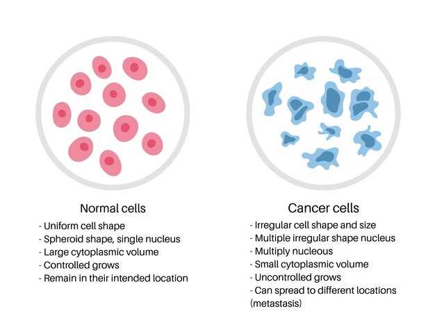 Гуморальный иммунитет