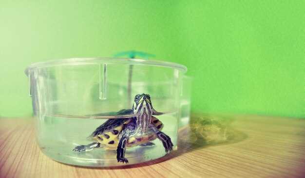 Металлы и пластики