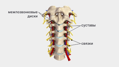 Межпозвонковая грыжа — что это такое, симптомы грыжи МПД, чем опасна, лечение