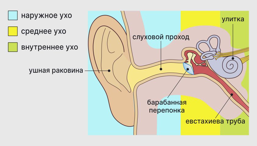 Лечение шума в ушах